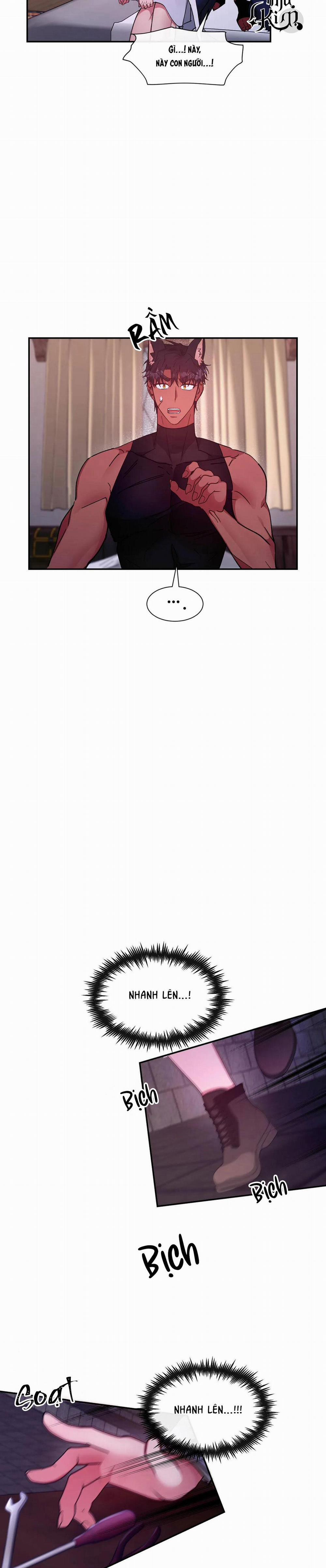 Bên Trong Lâu Đài 18 H+ trang 12