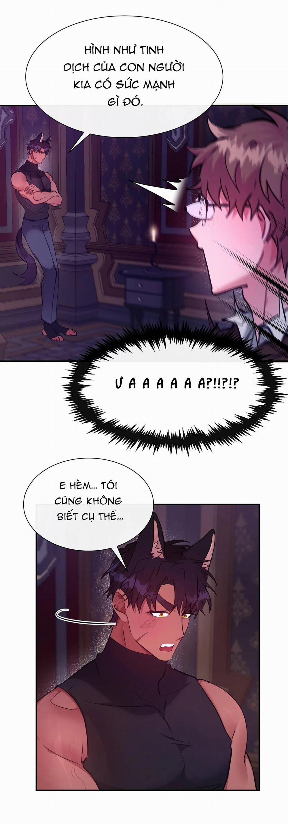 Bên Trong Lâu Đài 21 H+ trang 39