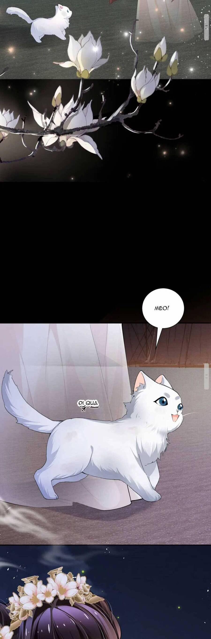 Bệnh Kiều Công Chúa Muốn Hắc Hóa 15 trang 22