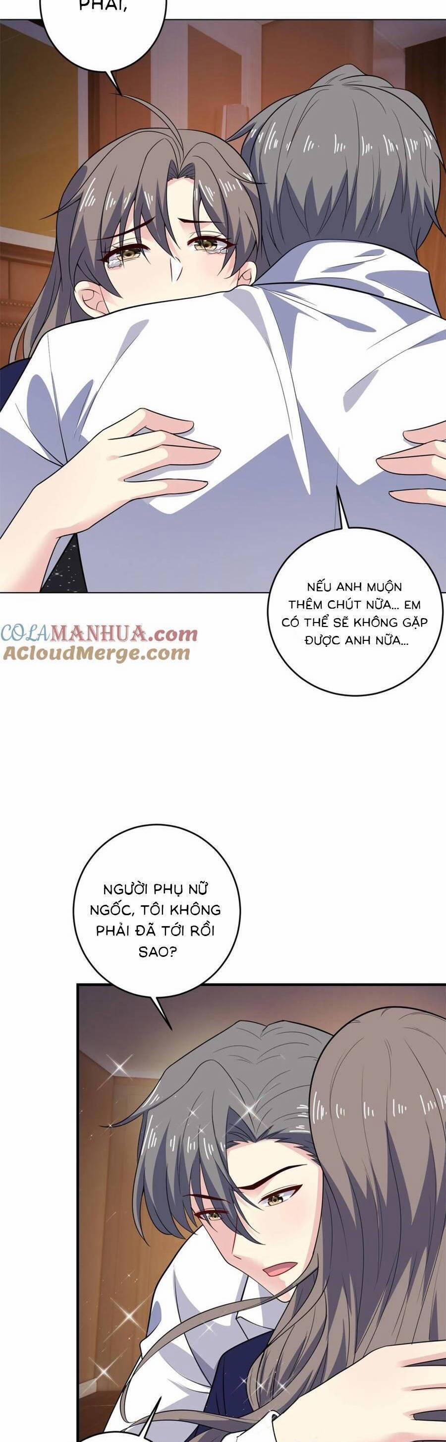 Bệnh Kiều Lệ Gia Được Ta Sủng Ái Nên Kiêu 136 trang 13