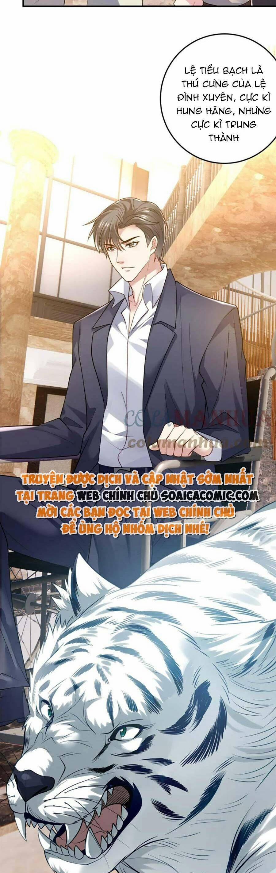 Bệnh Kiều Lệ Gia Được Ta Sủng Ái Nên Kiêu 42 trang 14