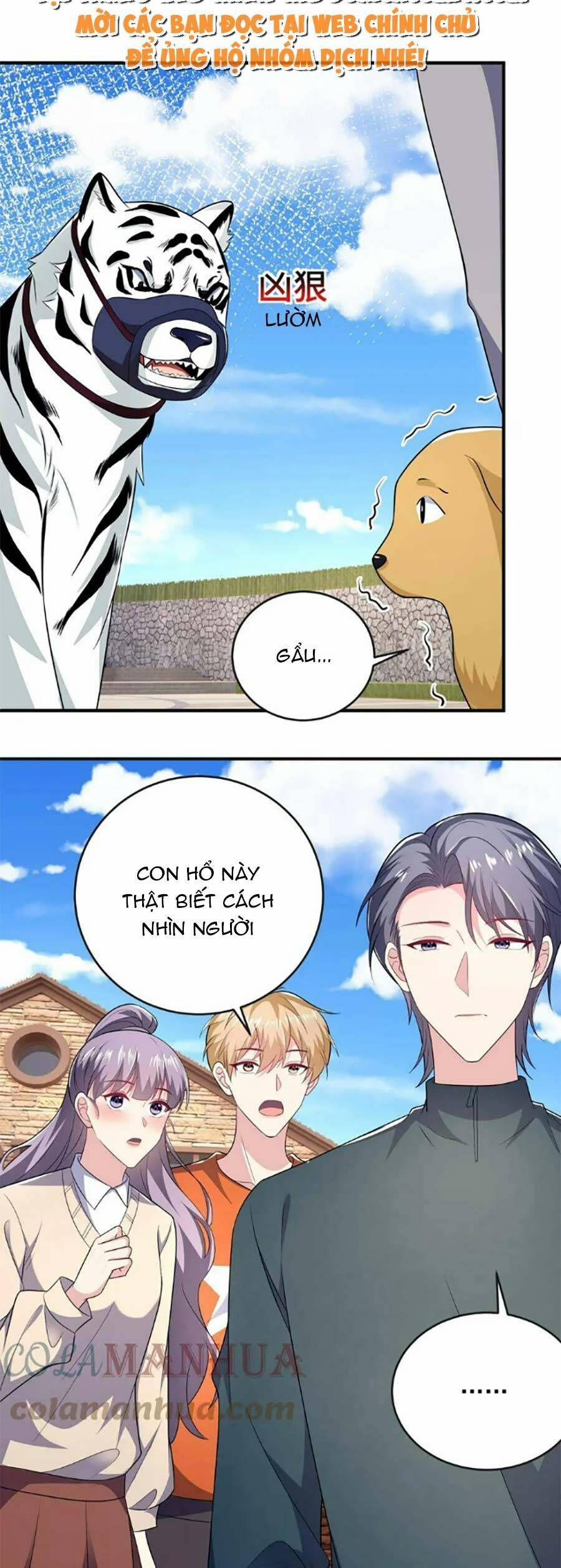 Bệnh Kiều Lệ Gia Được Ta Sủng Ái Nên Kiêu 43 trang 6