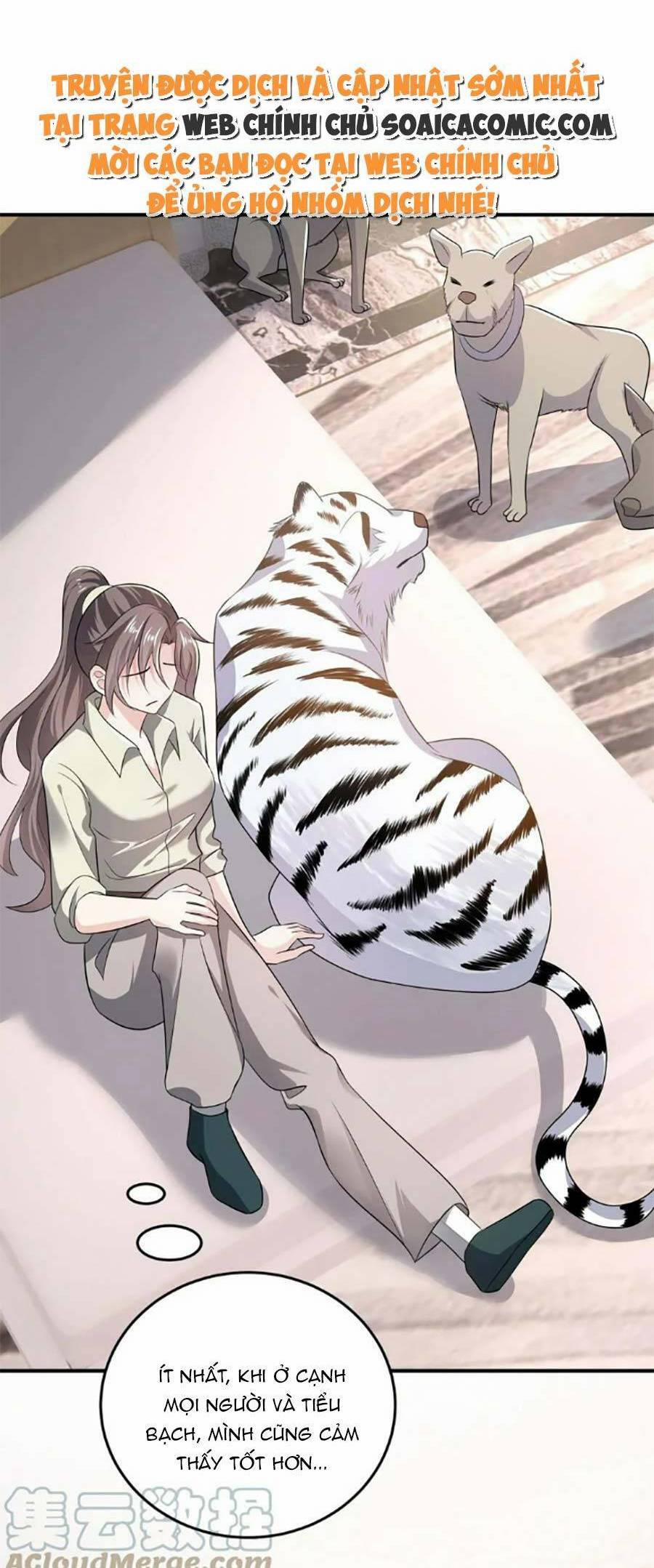 Bệnh Kiều Lệ Gia Được Ta Sủng Ái Nên Kiêu 60 trang 17