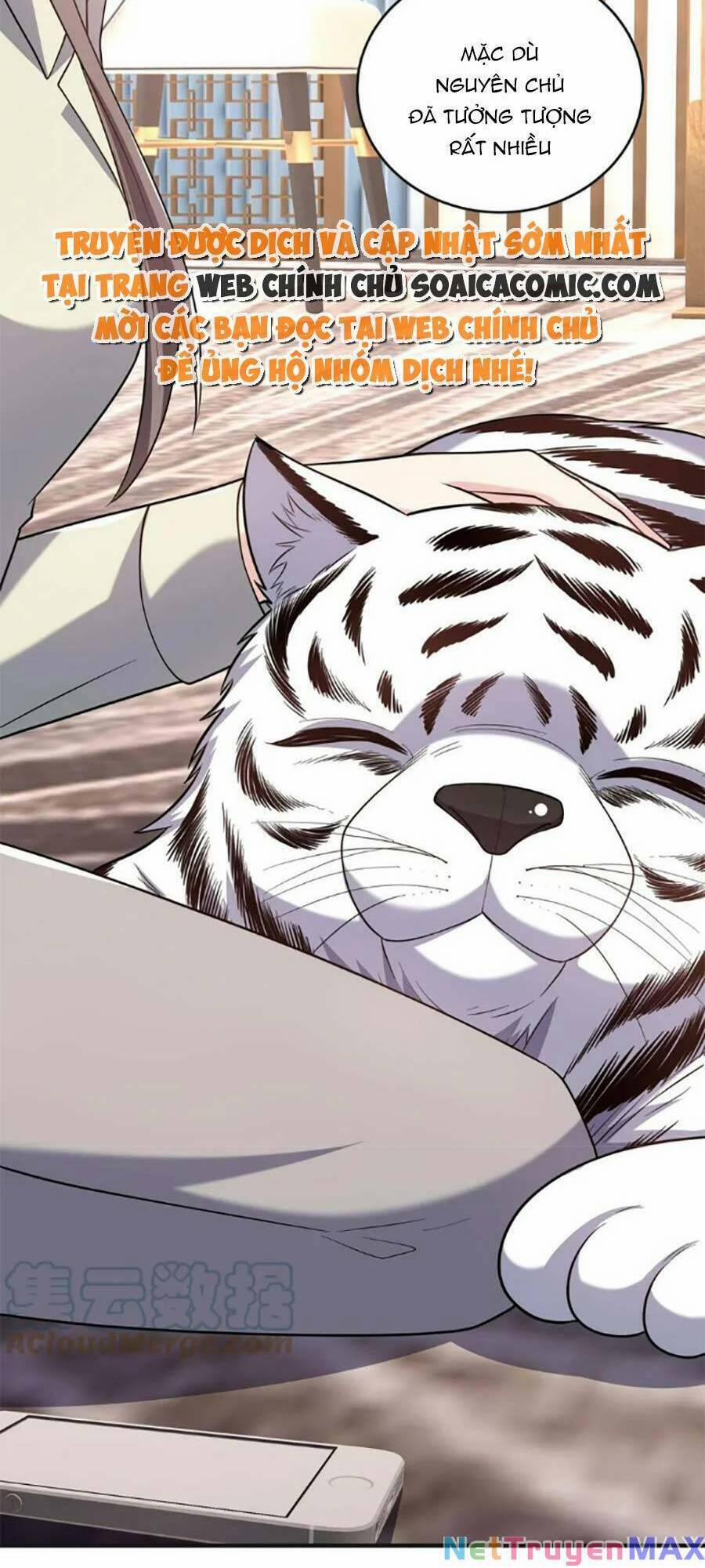 Bệnh Kiều Lệ Gia Được Ta Sủng Ái Nên Kiêu 61 trang 15