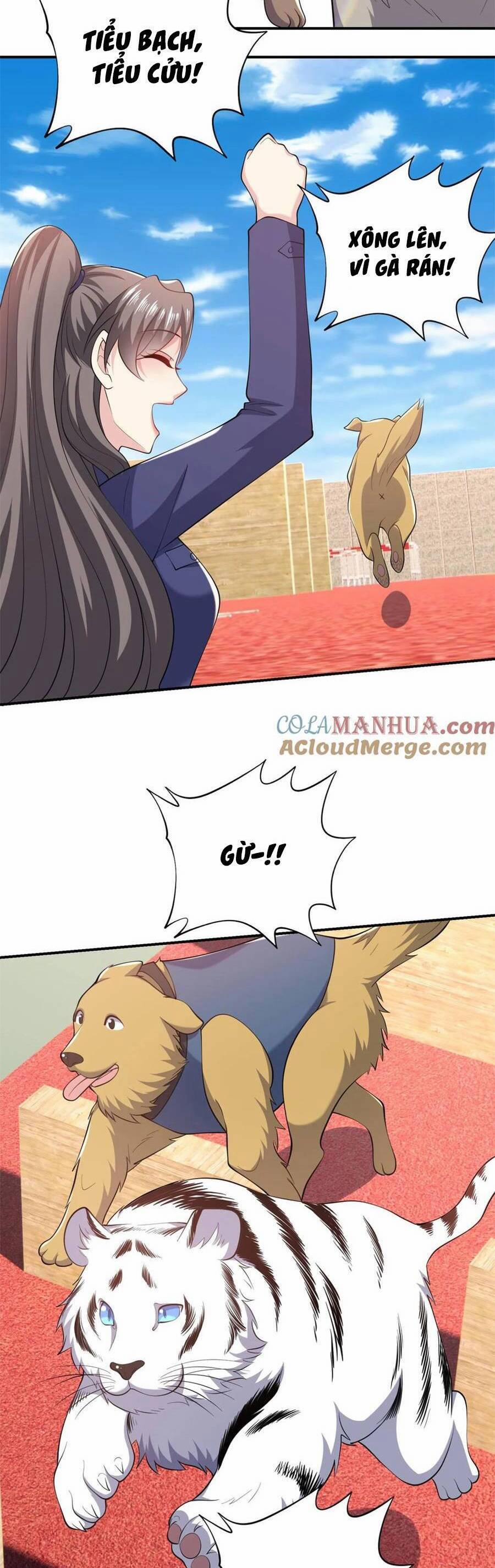 Bệnh Kiều Lệ Gia Được Ta Sủng Ái Nên Kiêu 80 trang 5