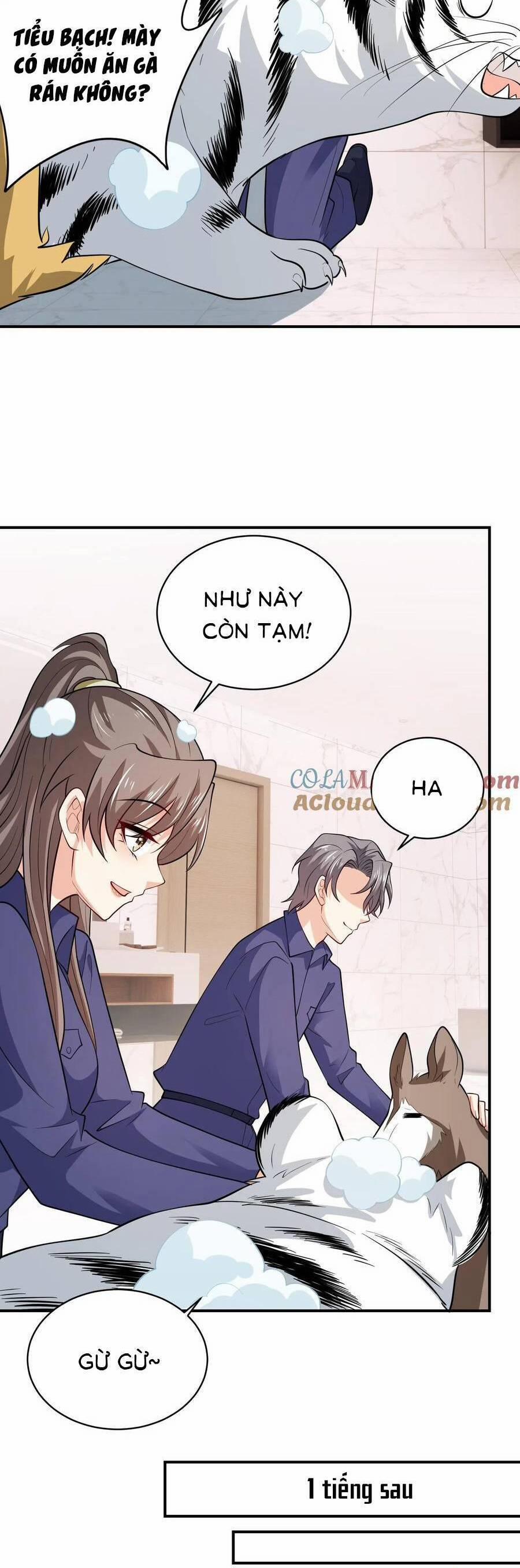 Bệnh Kiều Lệ Gia Được Ta Sủng Ái Nên Kiêu 81 trang 11