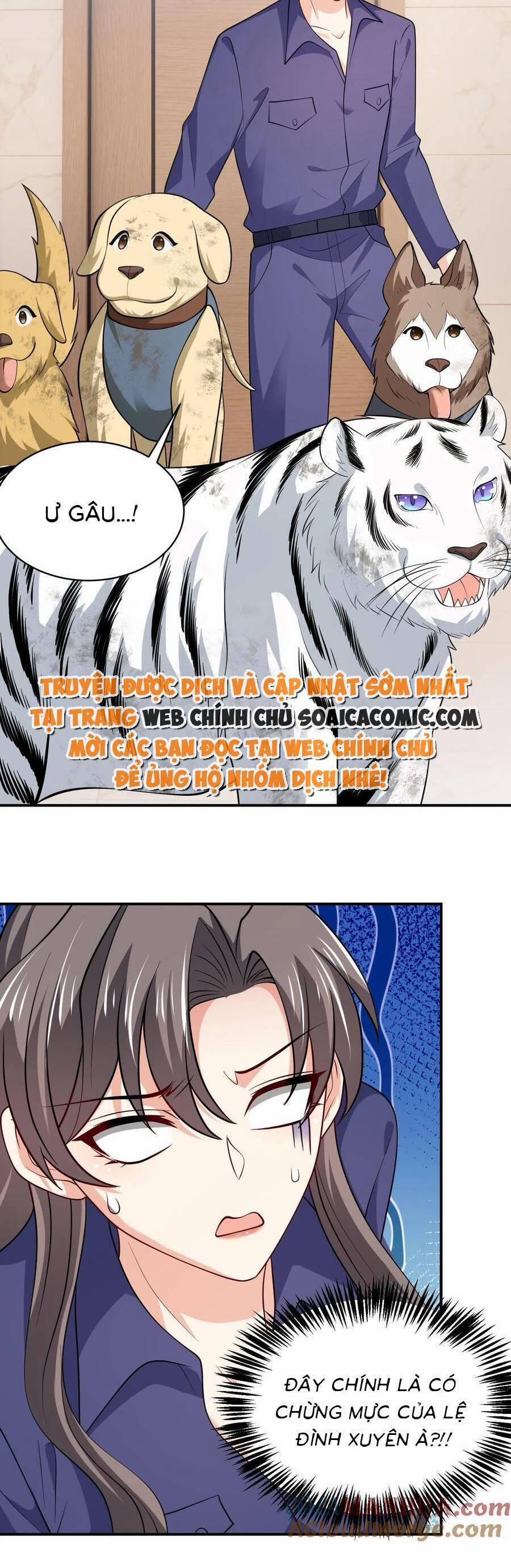 Bệnh Kiều Lệ Gia Được Ta Sủng Ái Nên Kiêu 81 trang 7