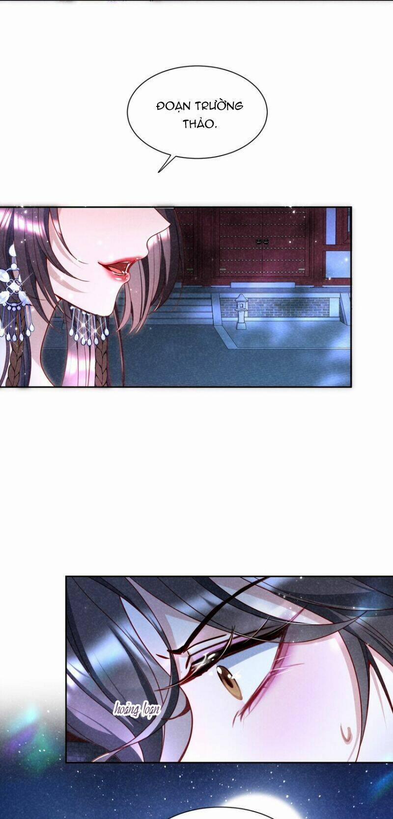 Bệnh Kiều Sư Đệ Lại Giả Vờ Đáng Thương 16 trang 4