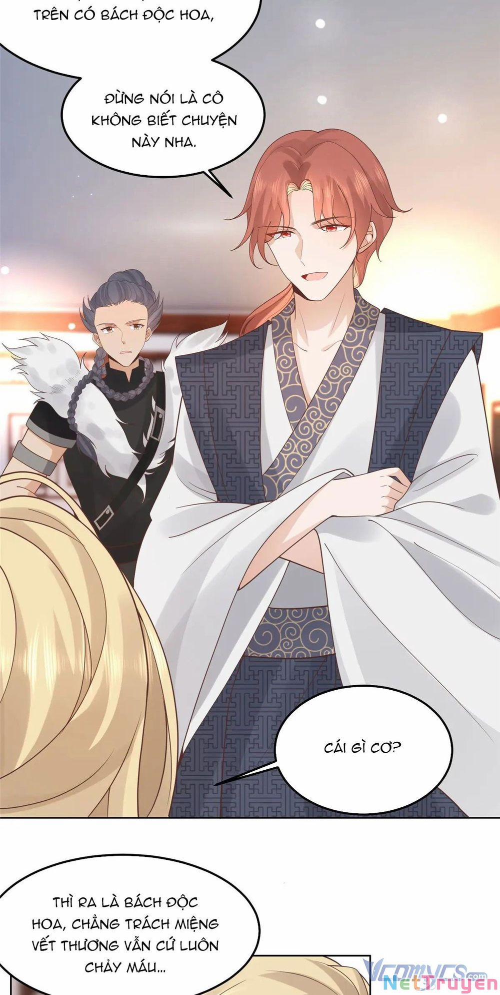 Bệnh Kiều Vương Gia Dựa Vào Ta Để Tiếp Tục Sống 63 trang 12