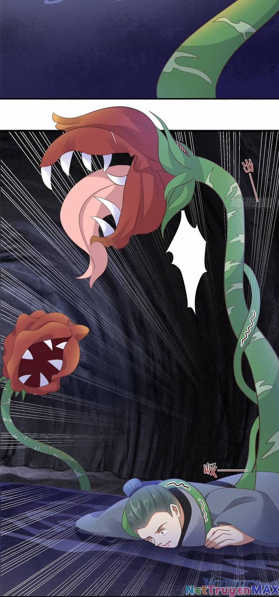 Bệnh Kiều Vương Gia Dựa Vào Ta Để Tiếp Tục Sống 97 trang 24