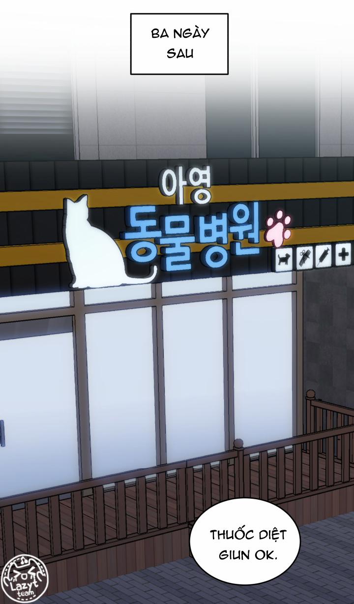 Bệnh Viện Thú Y Ở Vùng Biên Giới 2 trang 43