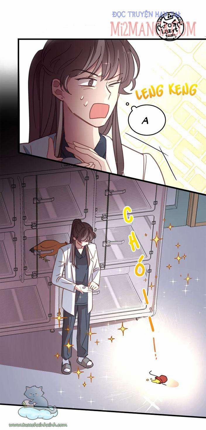 Bệnh Viện Thú Y Ở Vùng Biên Giới 3.5 trang 15