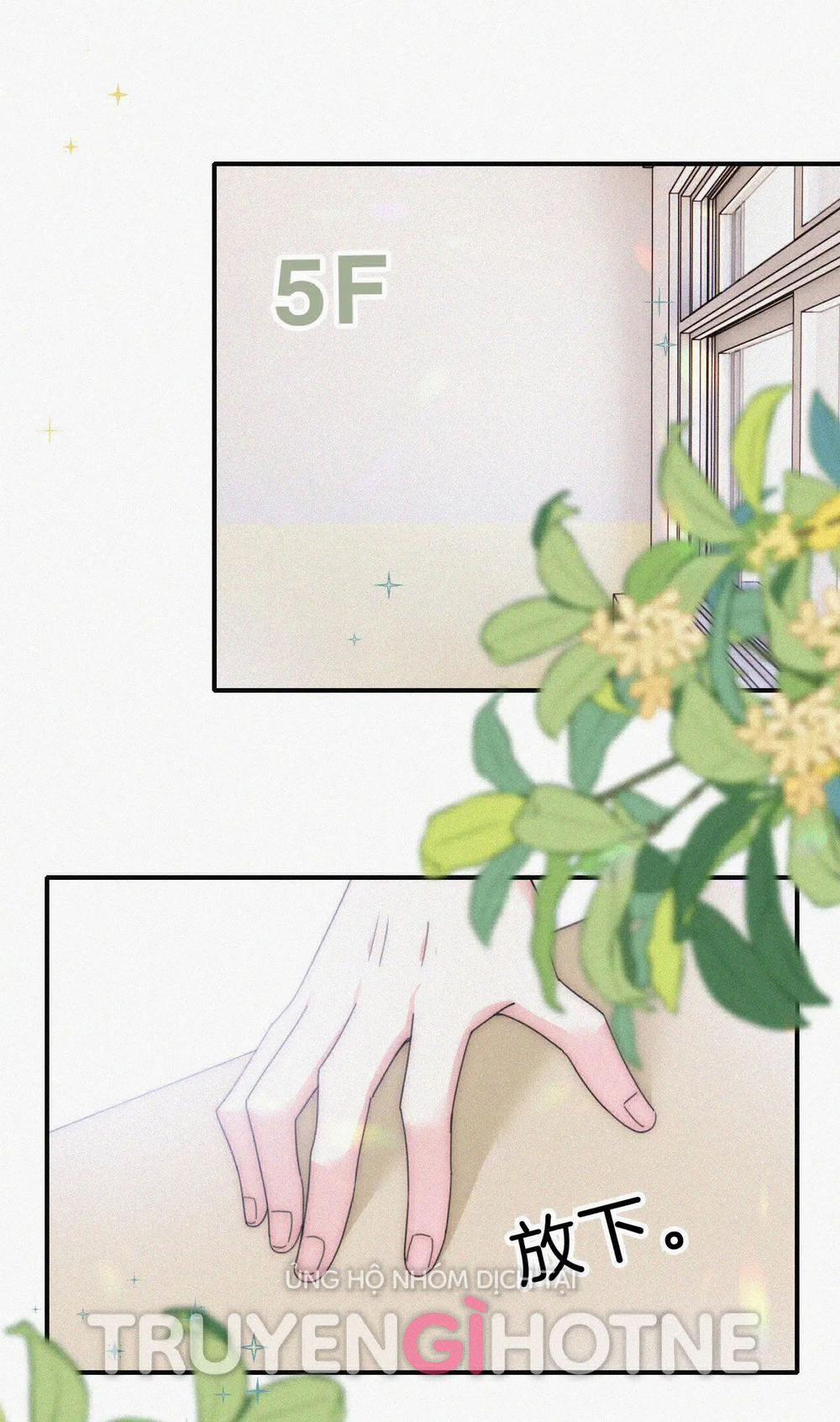 Bệnh Yêu 31.2 trang 15