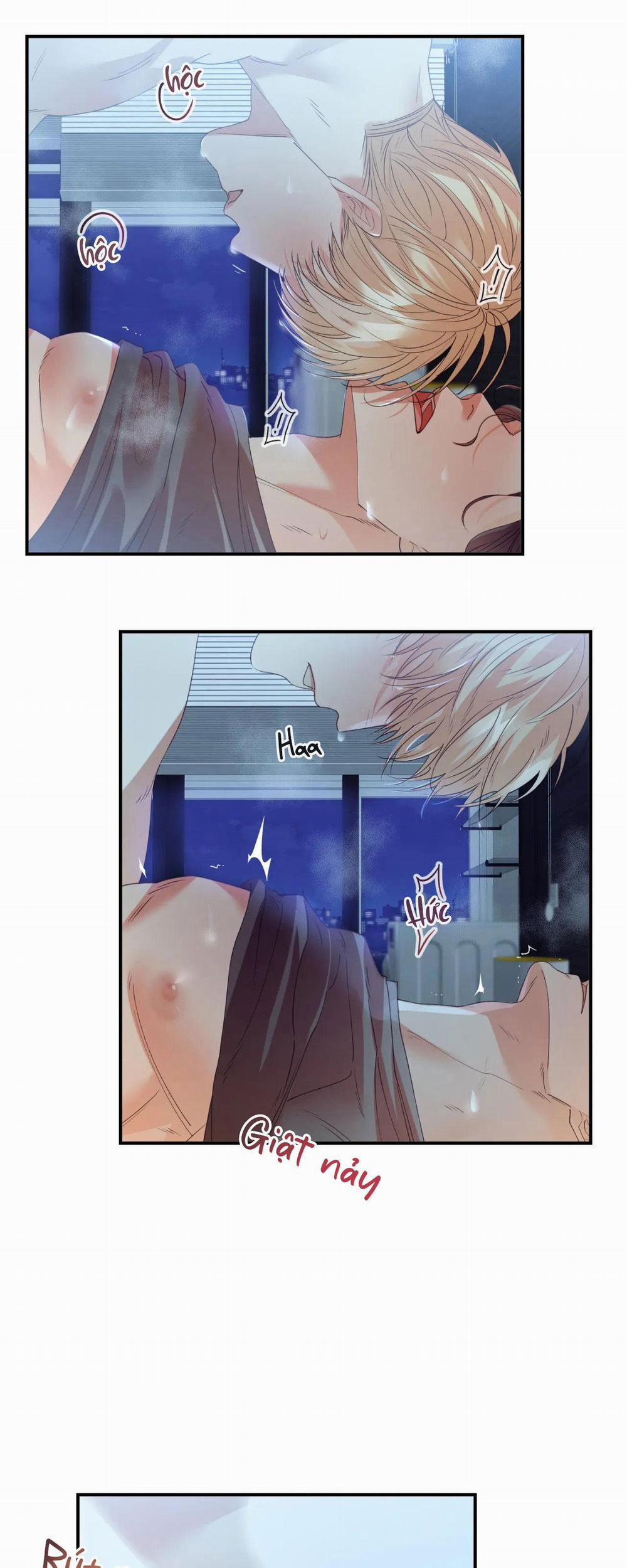 Betting On You 12 trang 0