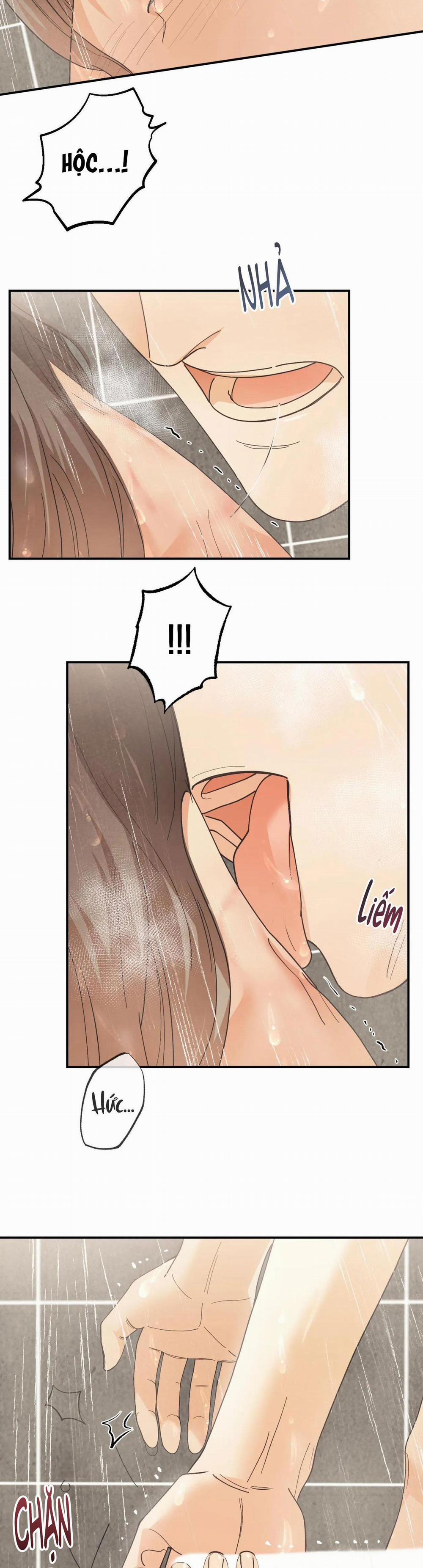 Betting On You 23 trang 3