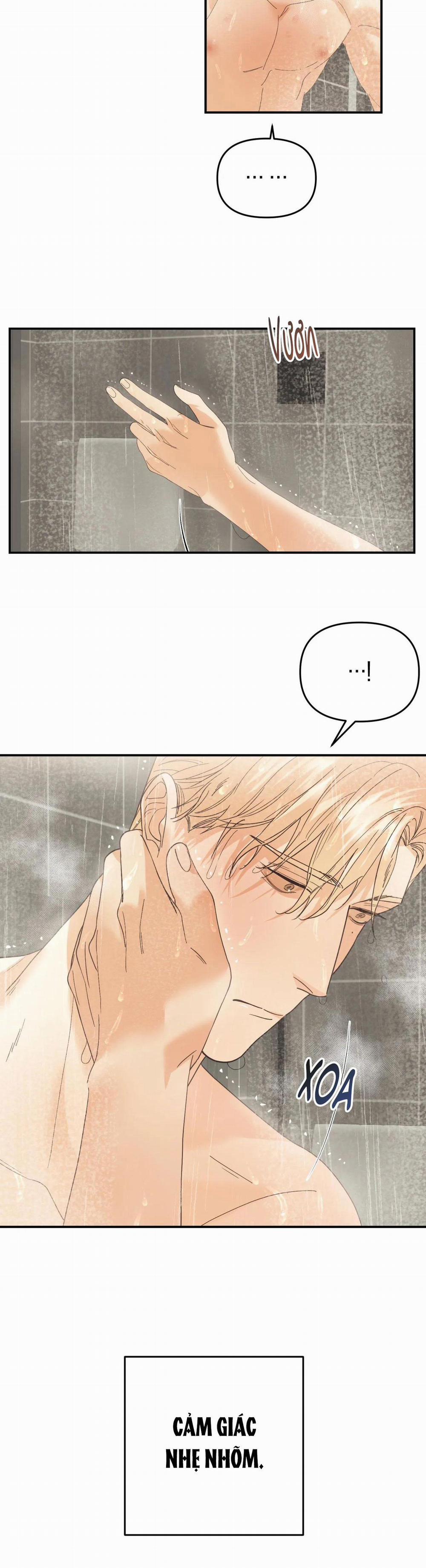 Betting On You 24 trang 2