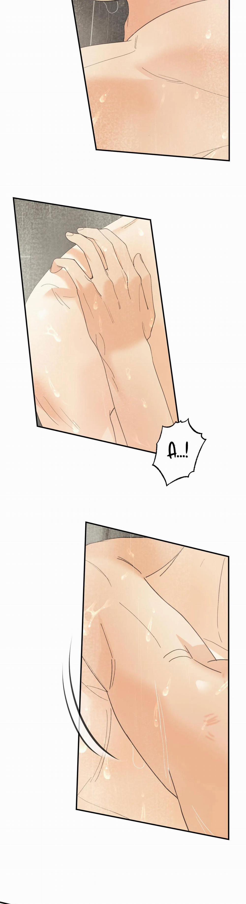 Betting On You 24 trang 5