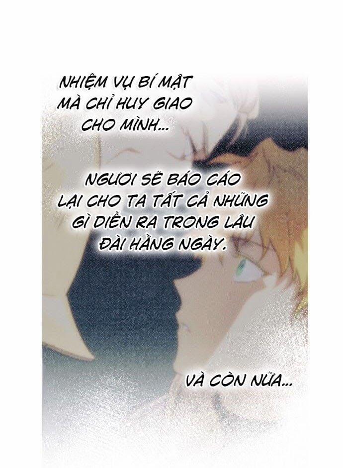 Bị Che Khuất Bởi Mặt Trời Lặn 14 trang 43