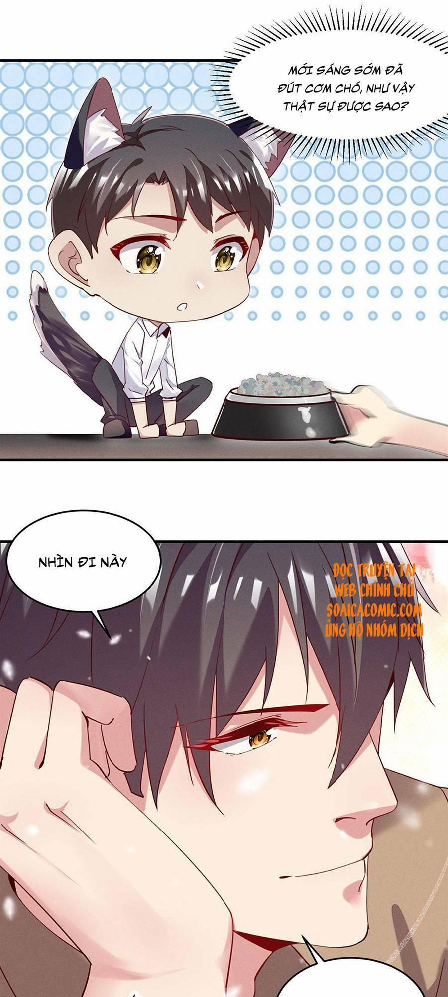 Bị Ép Yêu Sếp Mỗi Ngày 39 trang 20