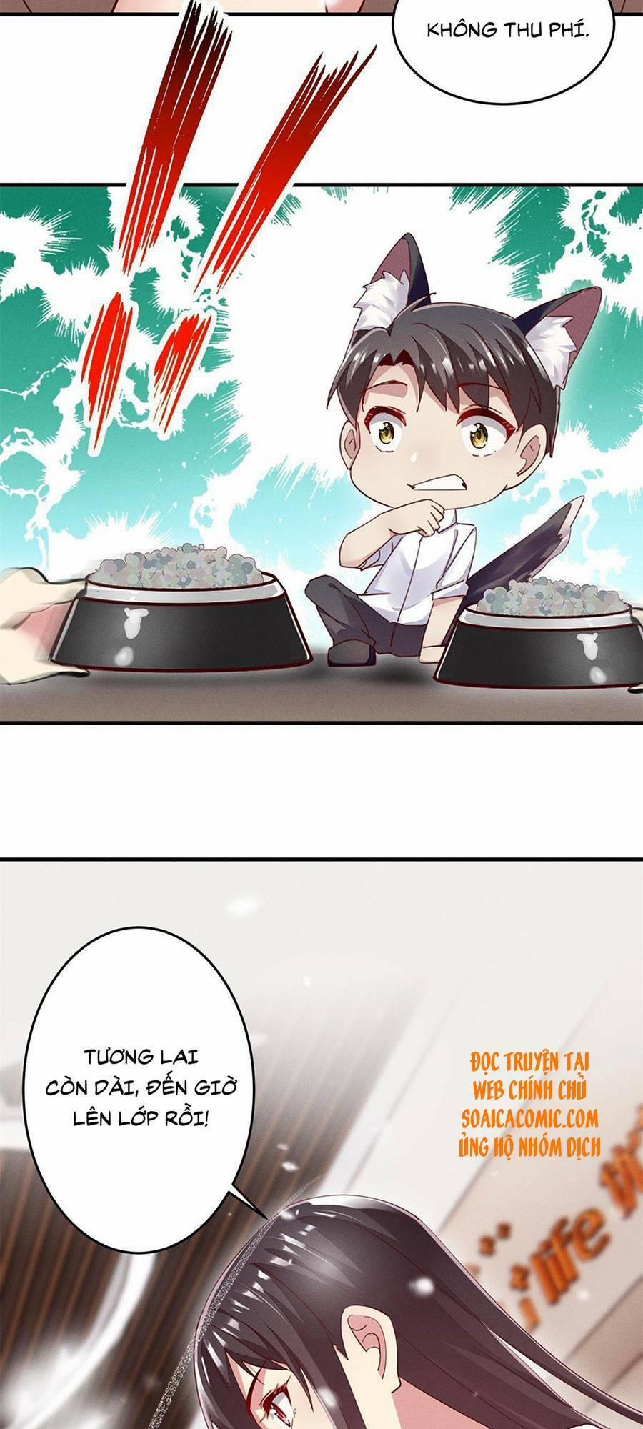 Bị Ép Yêu Sếp Mỗi Ngày 39 trang 21