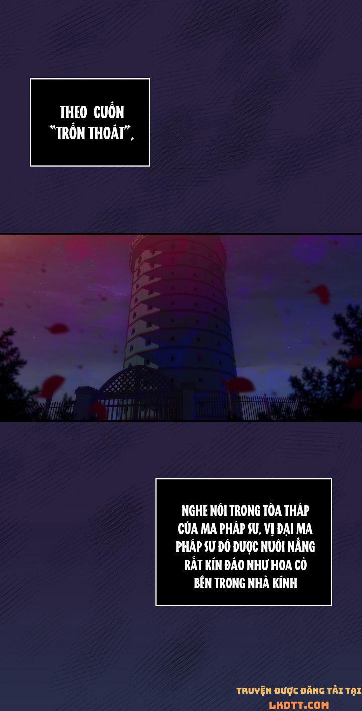 Bí Kíp Sinh Tồn Của Hầu Gái 29 trang 17