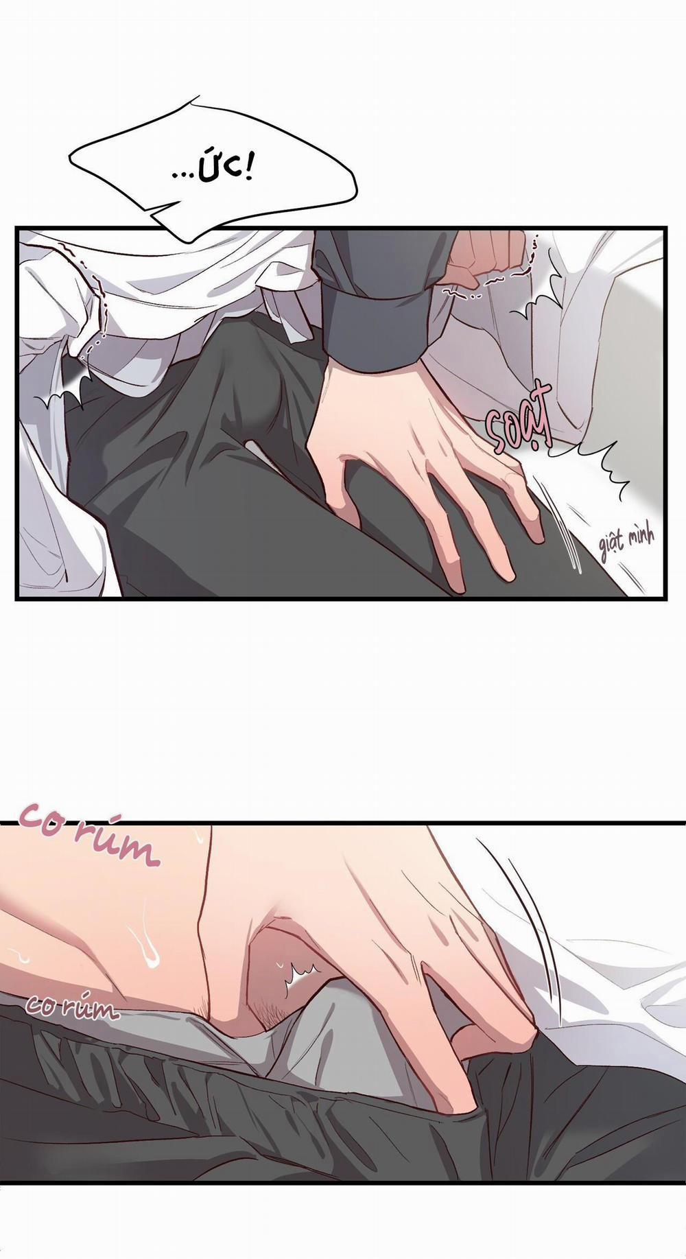 Bí Mật Ẩn Giấu Bên Trong Mái Tóc 5 trang 2