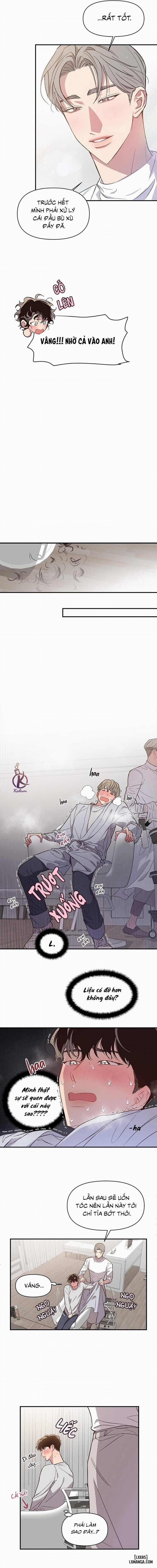 Bí Mật Của Mái Tóc 12 trang 5