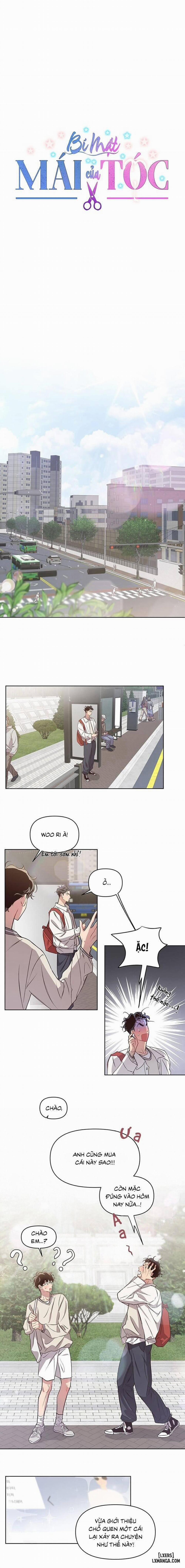 Bí Mật Của Mái Tóc 15 trang 2