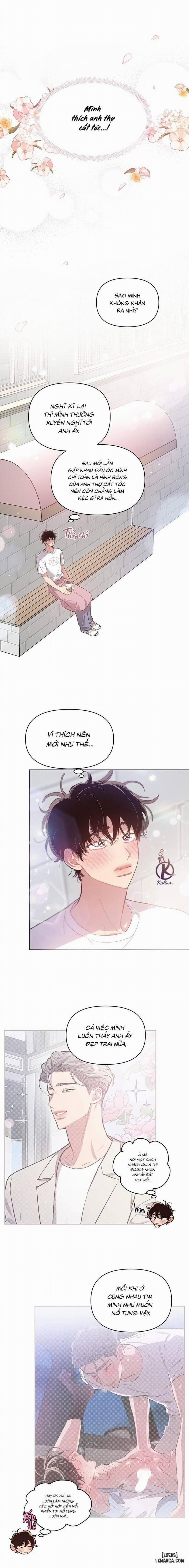 Bí Mật Của Mái Tóc 22 trang 0