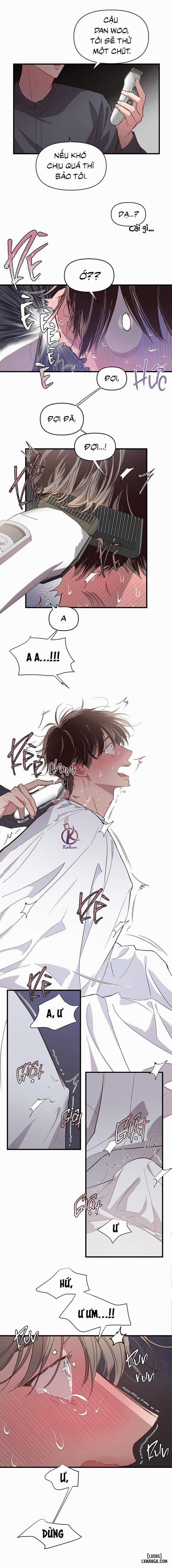 Bí Mật Của Mái Tóc 4 trang 6