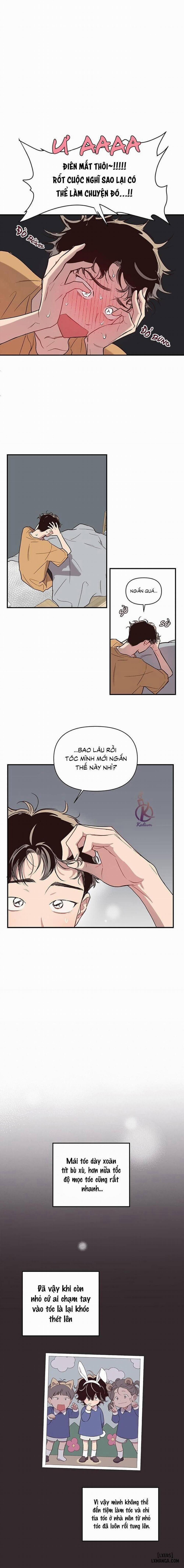 Bí Mật Của Mái Tóc 6 trang 1