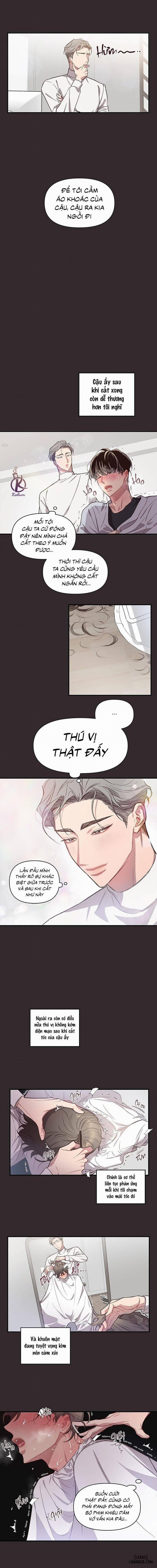 Bí Mật Của Mái Tóc 8 trang 4