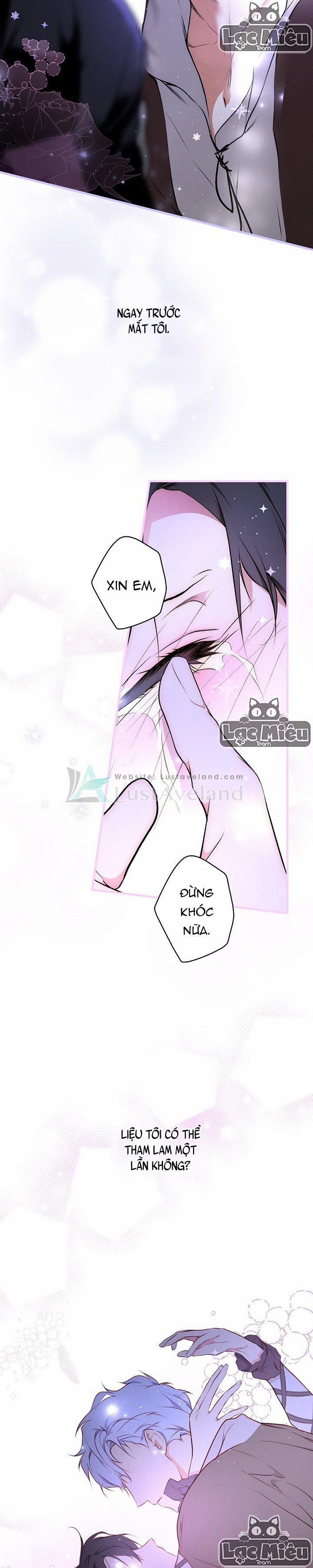 Bí Mật Của Quý Cô 50.5 trang 12