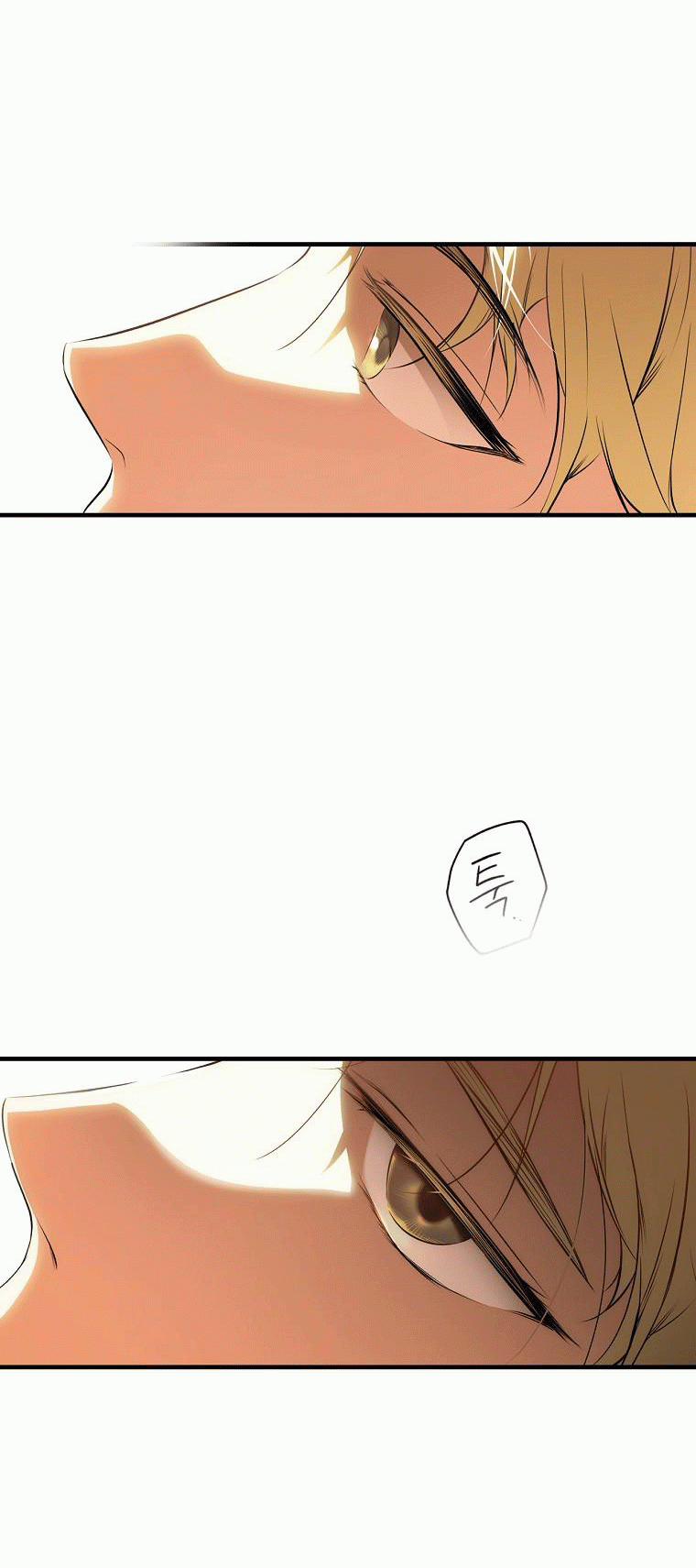 Bí Mật Của Quý Cô 53.5 trang 2