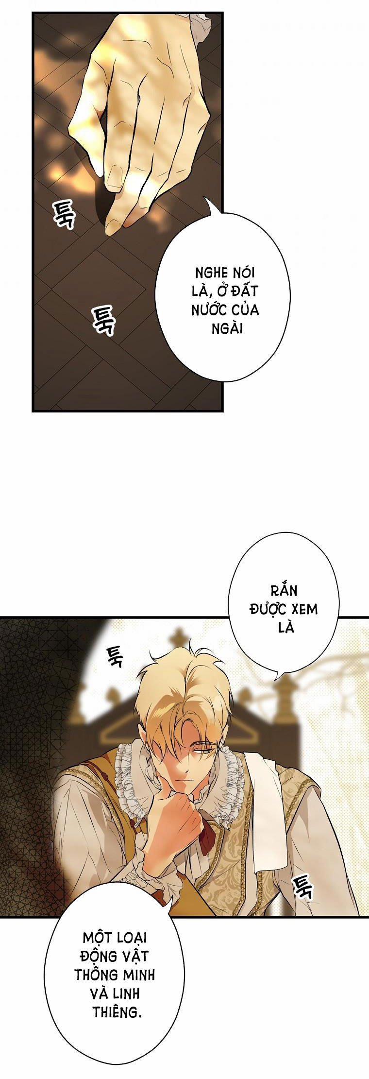 Bí Mật Của Quý Cô 55 trang 26