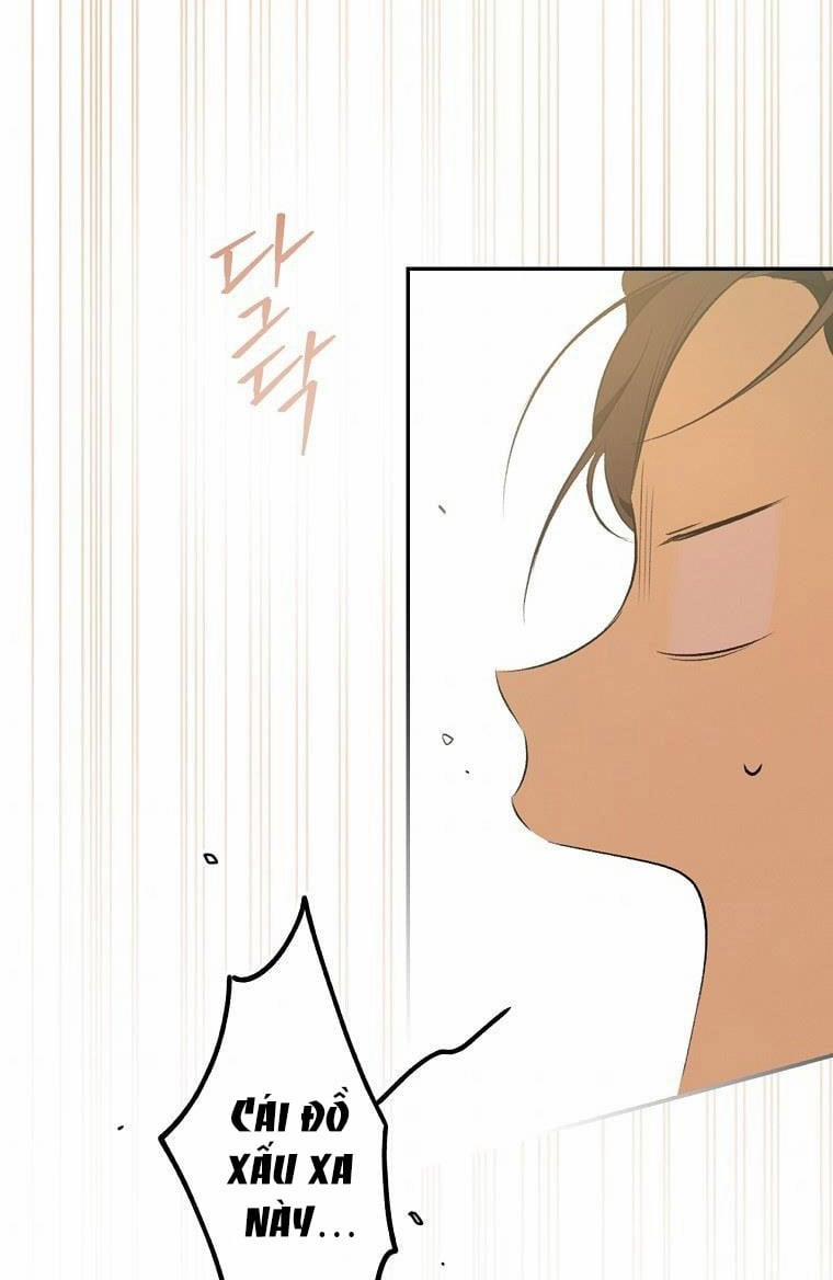 Bí Mật Của Quý Cô 57 trang 26