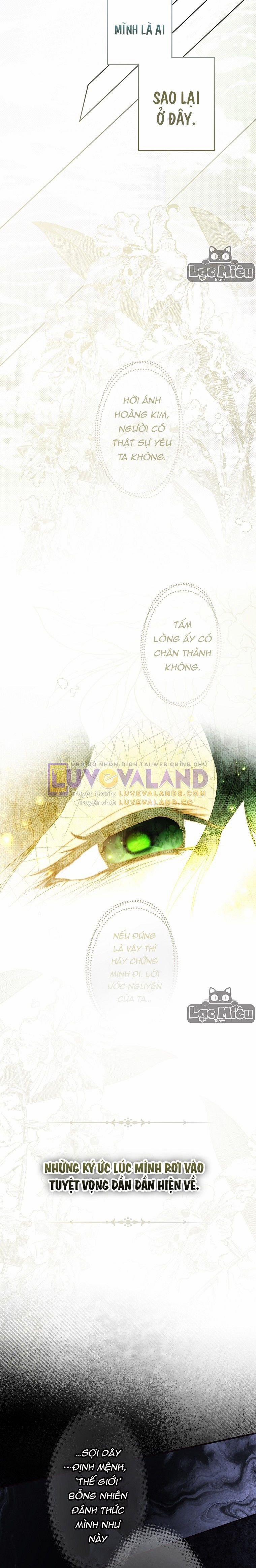 Bí Mật Của Quý Cô 67.5 trang 0