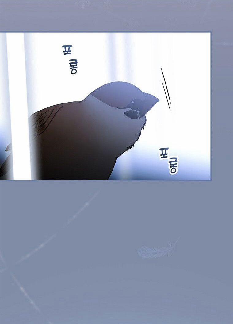 Bí Mật Của Quý Cô 72.5 trang 24