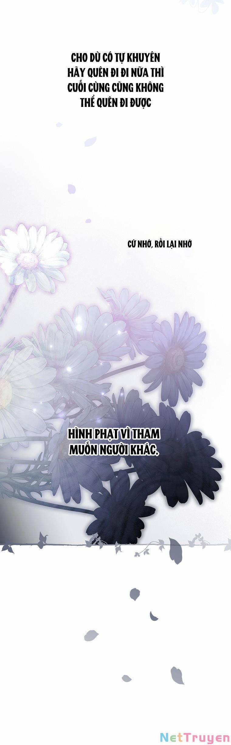 Bí Mật Của Quý Cô 73.2 trang 55