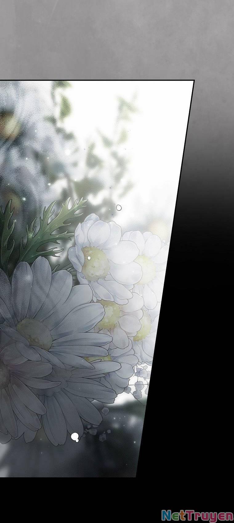 Bí Mật Của Quý Cô 74.1 trang 5