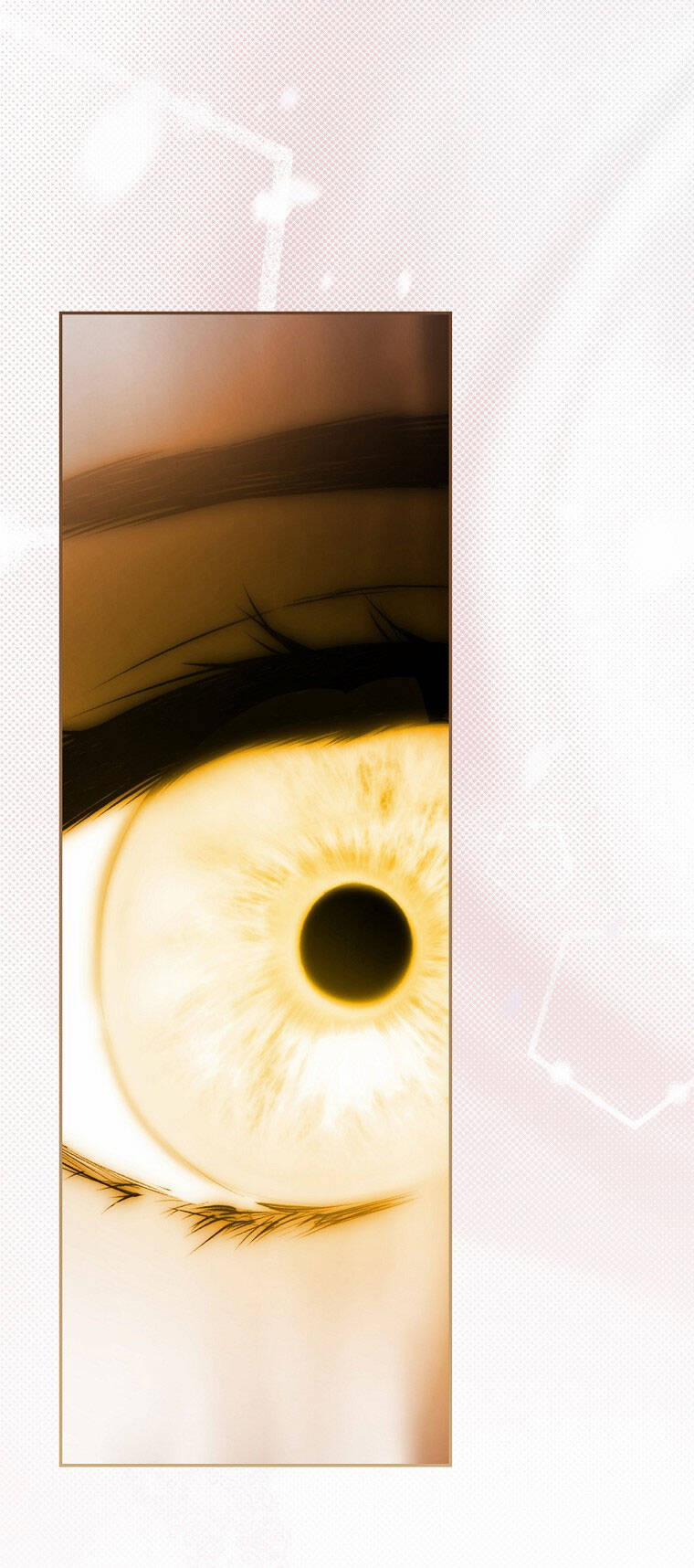 Bí Mật Của Quý Cô 78.2 trang 20