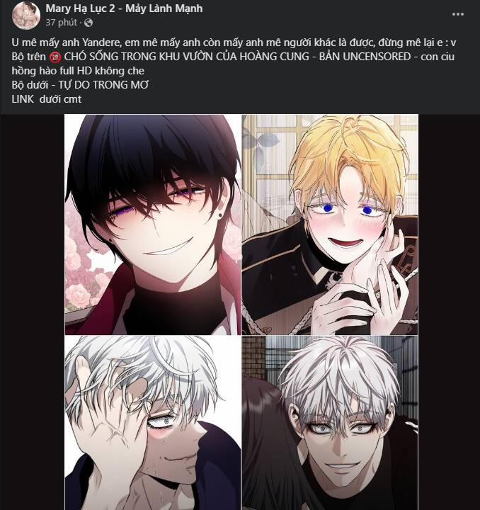 Bí Mật Của Quý Cô 98.1 trang 12