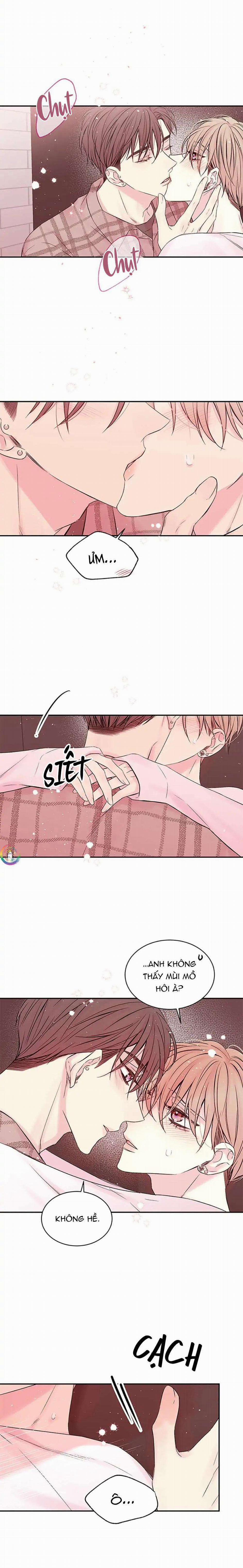 Bí Mật Của Tôi 50 trang 12