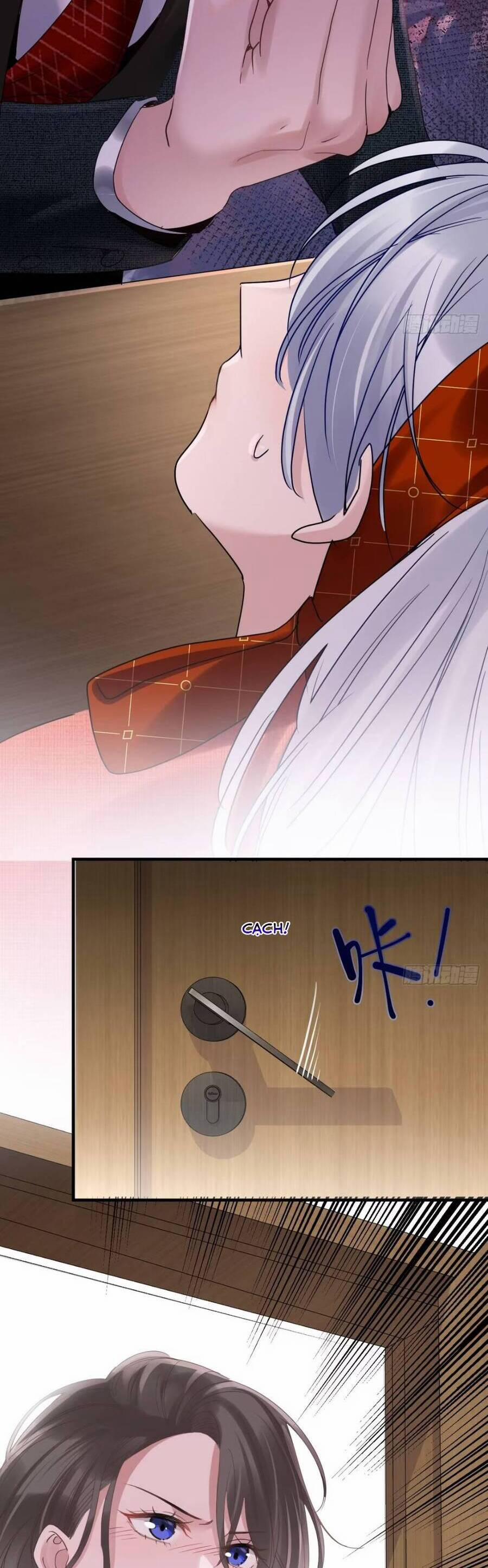 Bí Mật Nhỏ Của Chú Ngỗng Trắng 7 trang 11