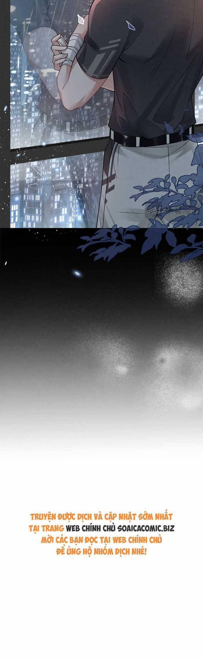 Bí Mật Nhỏ Của Ngỗng Trắng 10 trang 38