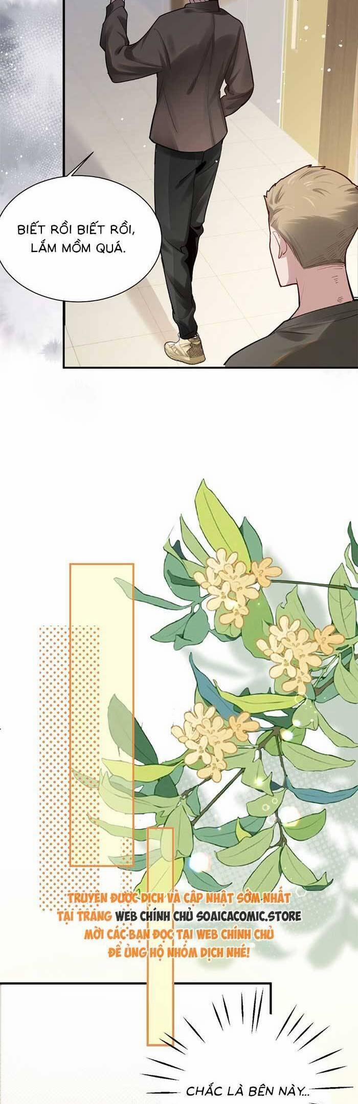 Bí Mật Nhỏ Của Ngỗng Trắng 2 trang 19