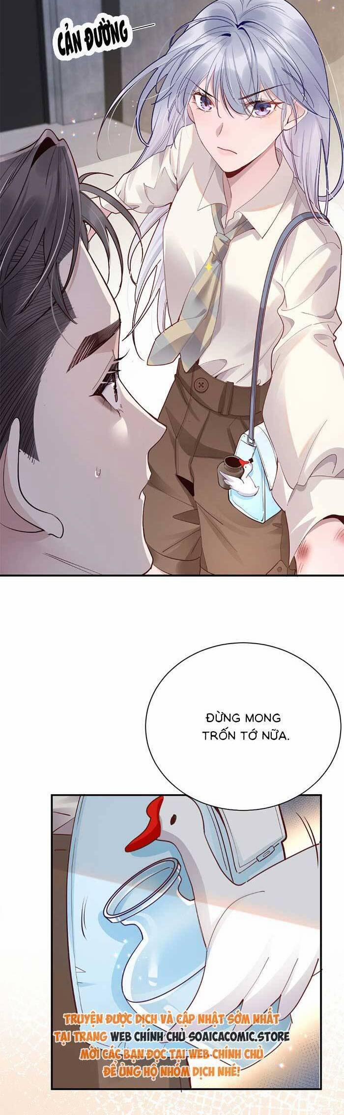 Bí Mật Nhỏ Của Ngỗng Trắng 3 trang 2