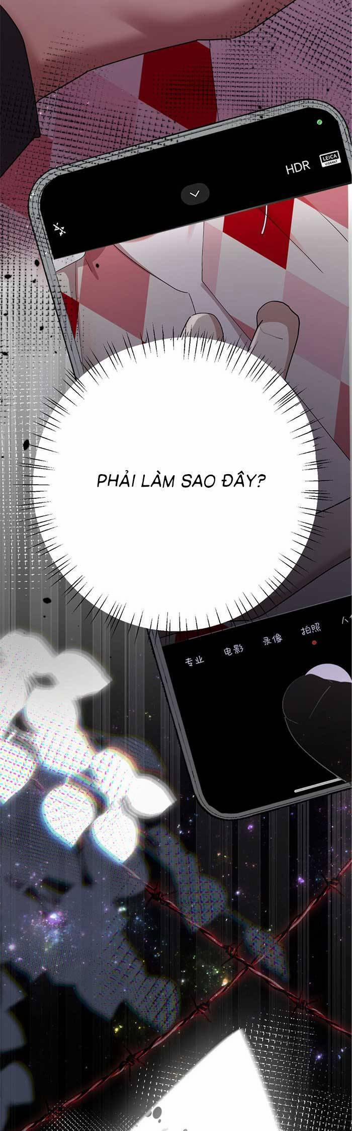 Bí Mật Nhỏ Của Ngỗng Trắng 5 trang 5