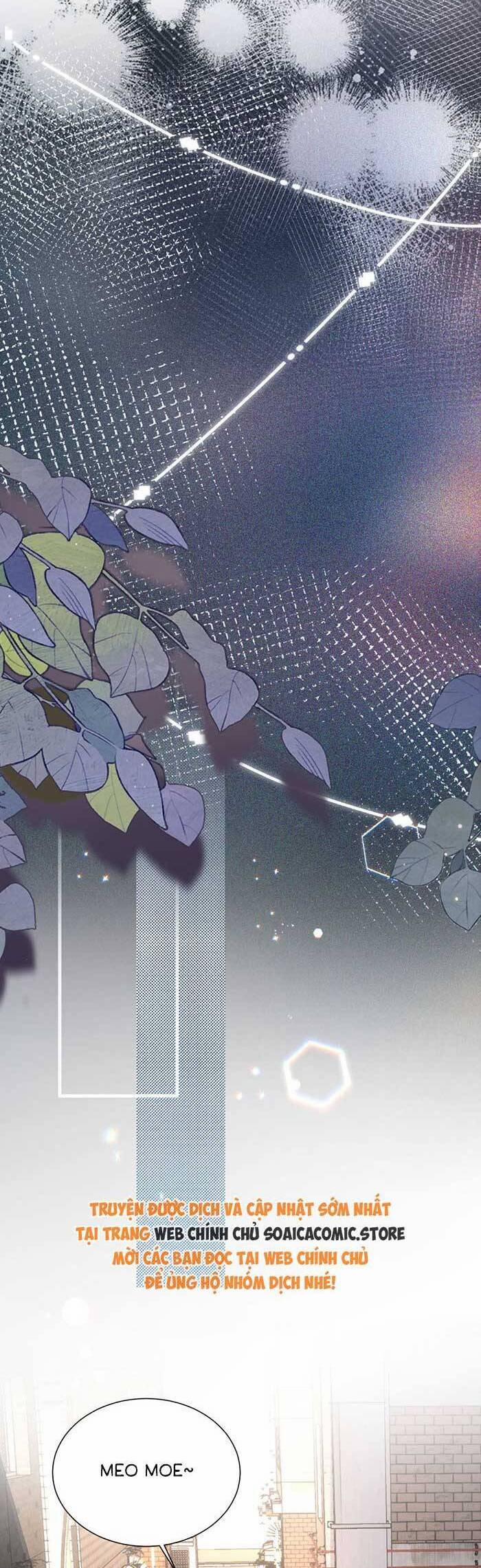 Bí Mật Nhỏ Của Ngỗng Trắng 6 trang 12