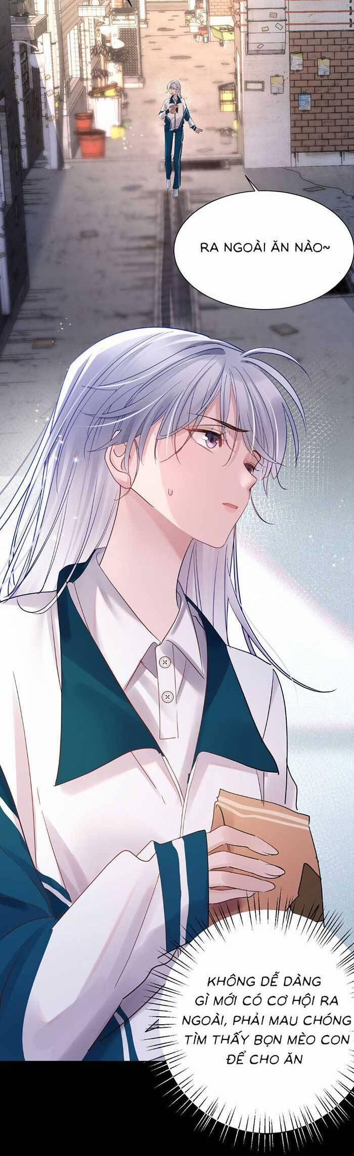 Bí Mật Nhỏ Của Ngỗng Trắng 6 trang 13